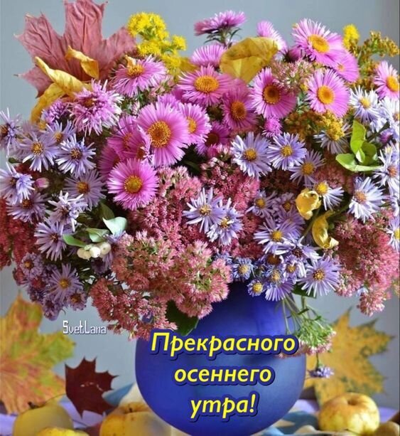 Яркий осенний букет астр и хризантем в синей вазе с надписью «Прекрасного осеннего утра!». Уютная осенняя открытка для пожелания доброго утра и настроения. Открытка Прекрасного осеннего утра! Красочный осенний букет из ярких астр и хризантем в синей вазе. Композиция наполнена теплыми цветами: розовыми, фиолетовыми и желтыми оттенками осенней природы. На фоне видны золотистые кленовые листья, создающие уютную атмосферу. На изображении расположена поздравительная надпись на русском языке: «Прекрасного осеннего утра!»