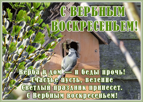 Праздничная открытка к Вербному воскресенью с ветками вербы, птичкой и душевным пожеланием счастья и удачи на русском языке. Анимированная открытка С вербным воскресением Красочная праздничная открытка к Вербному воскресенью. На изображении запечатлены пушистые веточки вербы с нежными почками на фоне деревянного скворечника, в котором сидит маленькая птичка. На картинке размещен поздравительный текст на русском языке: «С Вербным воскресеньем!» и душевное стихотворение о том, что верба приносит в дом счастье и удачу
