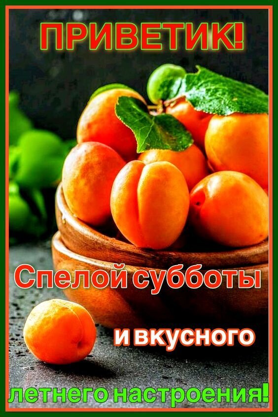 Открытка с пожеланием: «ПРИВЕТИК! Спелой субботы и вкусного летнего настроения!» на фоне сочных спелых абрикосов в деревянной миске. Открытка Спелой субботы и вкусного летнего настроения! Яркая и аппетитная картинка с сочными спелыми абрикосами в деревянной чаше. На изображении крупным планом показаны оранжевые фрукты с зелеными листочками на темном фоне. Поверх картинки наложен праздничный текст на русском языке: «ПРИВЕТИК! Спелой субботы и вкусного летнего настроения!»