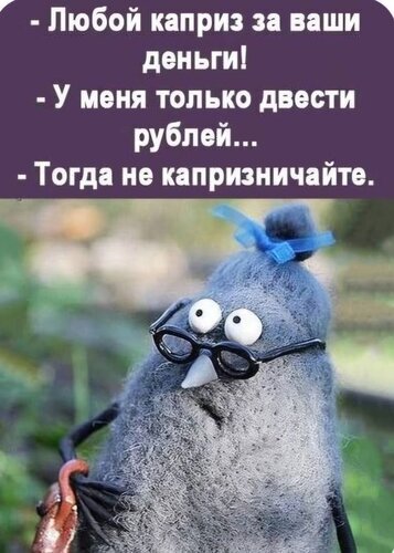 Смешной мем с текстом о деньгах и капризах. Ироничный диалог на фоне забавной игрушки в очках. Идеально для соцсетей и подборок юмора. Открытка Не капризничайте Забавный юмористический мем с изображением серой пушистой игрушки в очках. На картинке расположен текстовый диалог на русском языке: «— Любой каприз за ваши деньги! — У меня только двести рублей... — Тогда не капризничайте»