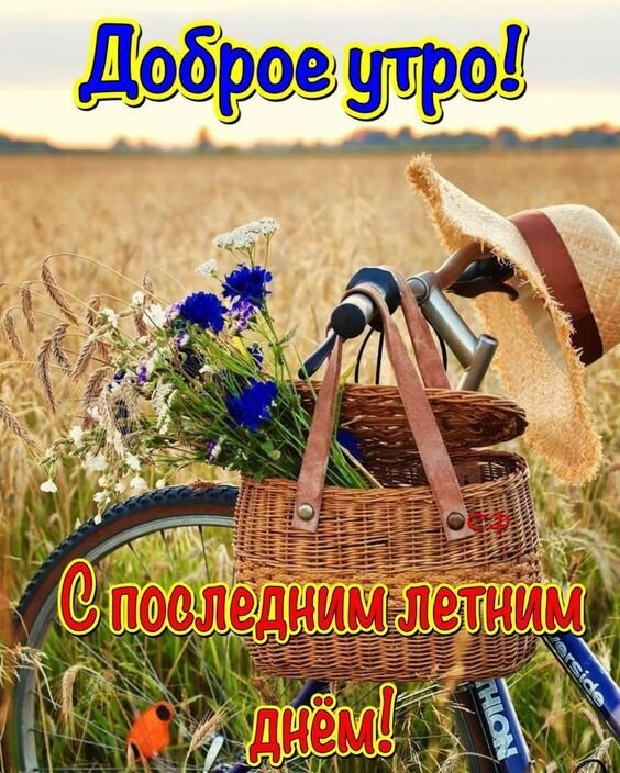 Открытка «Доброе утро! С последним летним днем!»: велосипед с цветами в корзине и соломенная шляпа на фоне золотого поля. Теплое летнее пожелание. Открытка С последним летним днем! Уютная и теплая картинка-открытка для пожелания доброго утра. На фоне золотистого пшеничного поля изображен велосипед с плетеной корзиной, наполненной полевыми цветами (васильками и ромашками). На руле велосипеда висит соломенная шляпа, создавая атмосферу беззаботного лета. На изображении нанесен яркий текст на русском языке: «Доброе утро! С последним летним днем!»