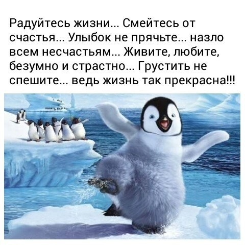 Мотивирующая картинка с веселым пингвином и вдохновляющей цитатой о том, что нужно радоваться жизни, любить и не грустить. Позитивный мем для настроения. Открытка Радуйтесь жизни... Смейтесь от счастья... Улыбок не прячьте Забавный и вдохновляющий мем с изображением веселого пингвина на фоне арктического пейзажа. На картинке размещен мотивирующий текст на русском языке: «Радуйтесь жизни... Смейтесь от счастья... Улыбок не прячьте... назло всем несчастьям... Живите, любите, безумно и страстно... Грустить не спешите... ведь жизнь так прекрасна!!!»