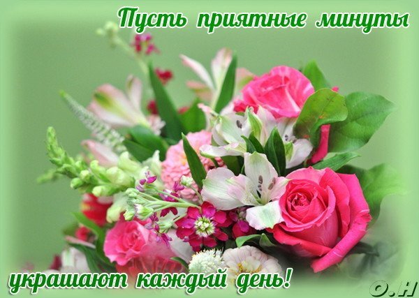 Красивая цветочная открытка с розовыми розами и надписью: «Пусть приятные минуты украшают каждый день!». Идеальное пожелание хорошего настроения. Открытка Пусть приятные минуты украшают каждый день! Красивый и нежный букет из розовых роз, альстромерий и других ярких цветов на мягком зеленом фоне. Изображение дополнено вдохновляющей надписью на русском языке: «Пусть приятные минуты украшают каждый день!»