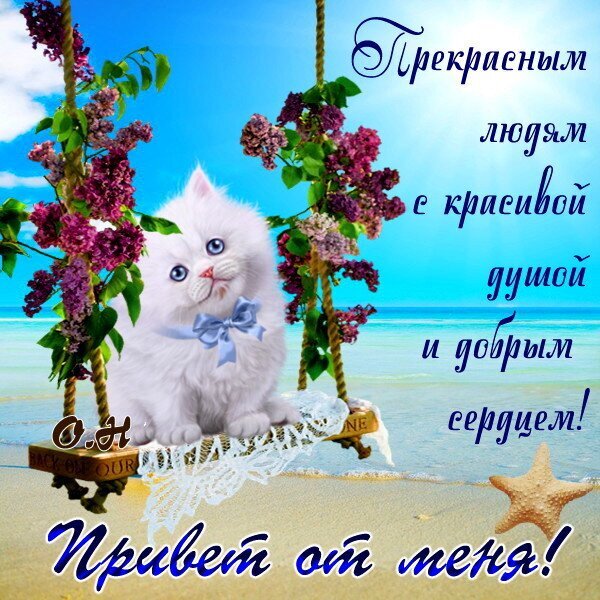 Милая открытка с белым котенком на качелях и сиренью. Надпись: Прекрасным людям с красивой душой и добрым сердцем! Привет от меня!. Душевное пожелание. Открытка Привет от меня! Милая открытка с пушистым белым котенком, сидящим на качелях среди цветущей сирени на фоне морского побережья. Изображение наполнено теплом и позитивом, с надписью на русском языке: 