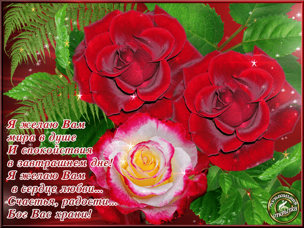 Душевная открытка с красными и розовыми розами. Пожелания мира, любви, счастья и радости. Красивое изображение с добрыми словами для близких. Анимированная открытка Счастья,радости....Бог вас храни! Красивая поздравительная открытка с тремя пышными розами: двумя ярко-красными и одной нежно-розовой с желтой сердцевиной. На фоне сочной зелени папоротника и листьев расположены сверкающие звездочки. На изображении нанесен трогательный текст на русском языке с пожеланиями мира в душе, спокойствия, любви, счастья, радости и божьего покровительства