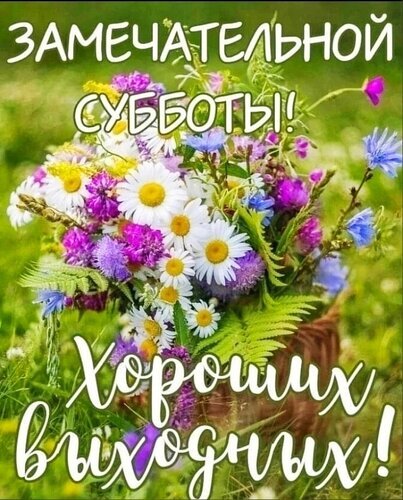 Поздравление с субботой и отличными выходными: яркий букет полевых цветов (ромашки, фиалки) с надписью «Замечательной субботы! Хороших выходных!» для соцсетей. Открытка Замечательной субботы Красочное поздравительное изображение с пышным букетом полевых цветов: белых ромашек, фиолетовых и голубых полевых цветов на фоне зеленой травы. На картинке нанесен праздничный текст на русском языке: «ЗАМЕЧАТЕЛЬНОЙ СУББОТЫ! Хороших выходных!»