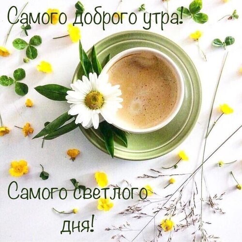 Доброе утро! Красивая открытка с чашкой кофе и ромашкой. Пожелание светлого и доброго дня для близких и друзей. Идеально для соцсетей и мессенджеров. Открытка Самого доброго утра! Самого светлого дня! Красивая и вдохновляющая открытка для пожелания доброго утра. На светлом фоне изображена чашка ароматного кофе с пенкой, украшенная нежным белым цветком ромашки. Вокруг чашки разбросаны мелкие желтые цветы и зеленые листочки, создавая атмосферу свежести и уюта