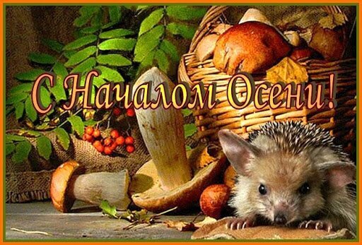 Поздравление «С началом осени!»: милый ежик, корзина грибов и осенние ягоды на уютном лесном фоне. Красочная картинка для осеннего настроения. Открытка С началом осени Красочная осенняя открытка с поздравлением «С началом осени!». На изображении представлен милый маленький ежик, корзина с грибами и спелыми ягодами на фоне осенней листвы. Теплые золотистые тона, уютная атмосфера леса и детализированные лесные обитатели создают праздничное настроение