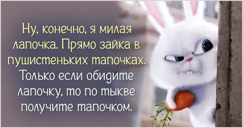 Смешной мем с дерзким белым кроликом и ироничной цитатой о том, что за милой внешностью может скрываться суровый характер. Юмор и жизненная цитата. Открытка Ну конечно я милая лапочка. Прямо зайка в пушистеньких тапочках. Забавный мем с белым кроликом из мультфильма, который смотрит с дерзким и недовольным выражением лица. На картинке наложен текст на русском языке: «Ну, конечно, я милая лапочка. Прямо зайка в пушистеньких тапочках. Только если обидите лапочку, то по тыкве получите тапочком»