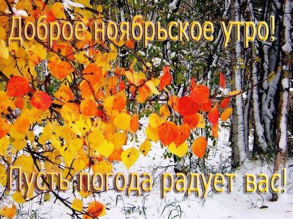 Красивая открытка «Доброе ноябрьское утро!» с яркими осенними листьями и первым снегом. Пожелание хорошей погоды для доброго настроения. Открытка Доброе ноябрьское утро! Пусть погода радует вас! Красочное поздравительное изображение к ноябрьскому утру. На переднем плане — яркие осенние листья желтого, оранжевого и красного цветов, покрытые легким слоем снега. На заднем плане видны заснеженные стволы берез и зимний лес. На картинке нанесен текст на русском языке: «Доброе ноябрьское утро!» сверху и «Пусть погода радует вас!» снизу