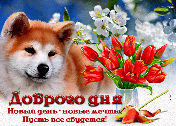 Милая открытка с корги и красными тюльпанами. Надпись: «Доброго дня! Новый день — новые мечты. Пусть все сбудутся!». Пожелание доброго дня и вдохновения. Анимированная открытка Доброго дня Милая открытка с изображением рыжего корги и букетом ярких красных тюльпанов на фоне цветущих белых деревьев. На картинке расположена поздравительная надпись на русском языке: «Доброго дня! Новый день — новые мечты. Пусть все сбудутся!»