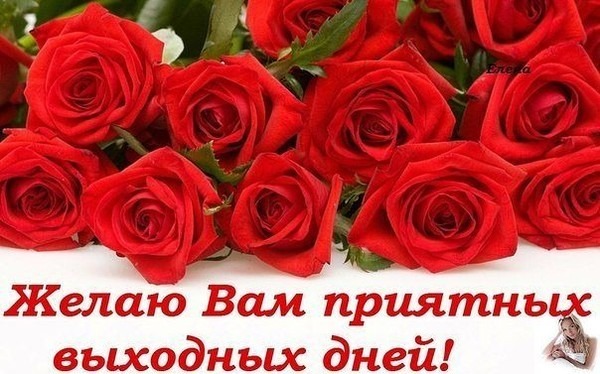 Открытка с красными розами и надписью Желаю Вам приятных выходных дней!. Красивый букет цветов для пожелания хороших выходных в WhatsApp и соцсетях. Открытка Желаю Вам приятных выходных дней! Красивая открытка с букетом ярко-красных роз и пожеланием приятных выходных. Изображение наполнено нежностью и праздничным настроением, идеально подходит для отправки близким, друзьям или коллегам в мессенджерах и социальных сетях. На картинке изображены пышные алые бутоны на светлом фоне с надписью на русском языке: 
