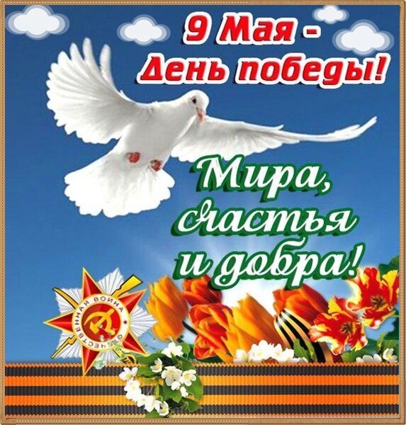 Поздравление с 9 Мая — Днем Победы! Белый голубь мира, тюльпаны и георгиевская лента. Желаем мира, счастья и добра! Красивая открытка к празднику. Открытка День Победы Открытка к 9 Мая — Дню Победы. На изображении летящий белый голубь мира на фоне голубого неба, символизирующий мир и светлое будущее. В нижней части композиции расположены яркие оранжевые тюльпаны, белые цветы и георгиевская лента с орденом «Знамя Победы». Текст на картинке: «9 Мая — День победы! Мира, счастья и добра!»