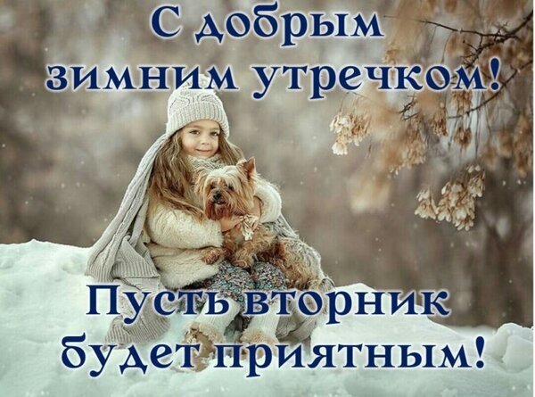 Зимняя открытка: девочка с маленькой собачкой в снегу. Пожелание доброго зимнего утра и приятного вторника. Уютное праздничное изображение для соцсетей. Открытка Доброго зимнего вторника! Уютная зимняя открытка с изображением милой девочки в теплой шапке и светлом свитере, которая обнимает маленького рыжего терьера на фоне заснеженного зимнего пейзажа. На картинке наложен поздравительный текст на русском языке: «С добрым зимним утречком! Пусть вторник будет приятным!»