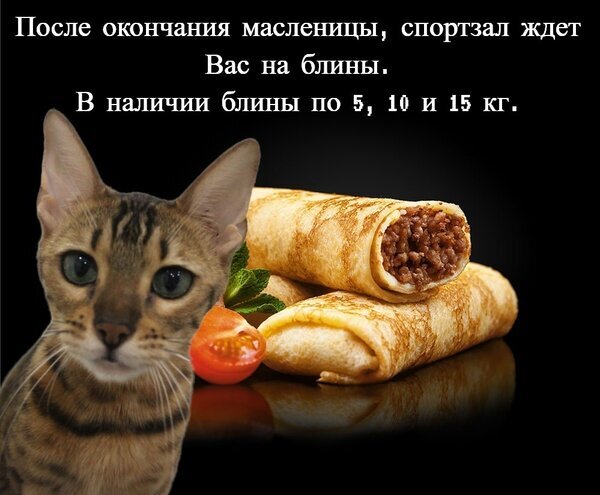 Юмористическая реклама фитнес-клуба: после Масленицы ждем вас на «блины» (5, 10, 15 кг). Кот и аппетитные блины как метафора спортивных весов. Открытка С масленицей Забавное рекламное изображение с игрой слов: на картинке изображен кот и аппетитные блины с начинкой. Текст гласит: «После окончания масленицы, спортзал ждет Вас на блины. В наличии блины по 5, 10 и 15 кг». Юмор строится на двойном значении слова «блины» — традиционное блюдо и спортивные отягощения (блины для штанги)