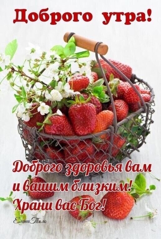 Открытка Доброго утра! с корзиной спелой клубники и цветами. Пожелание здоровья вам и вашим близким. Красивое доброе утро и благословение! Открытка Доброго утра! Доброго здоровья! Красивая поздравительная открытка с пожеланием доброго утра. На изображении представлена корзинка с сочными спелыми клубникой и нежными белыми цветами на светлом фоне. Текст на картинке гласит: Доброго утра! Доброго здоровья вам и вашим близким! Храни вас Бог! Открытка Доброго утра! с корзиной спелой клубники и цветами. Пожелание здоровья вам и вашим близким. Красивое доброе утро и благословение! Открытка Доброго утра! Доброго здоровья! Красивая поздравительная открытка с пожеланием доброго утра. На изображении представлена корзинка с сочными спелыми клубникой и нежными белыми цветами на светлом фоне. Текст на картинке гласит: Доброго утра! Доброго здоровья вам и вашим близким! Храни вас Бог!