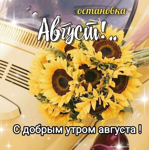 Красочная открытка с букетом подсолнухов и надписью «С добрым утром августа!». Яркое изображение для летнего настроения и пожеланий доброго утра. Открытка Остановка Август. С добрым утром Августа. Яркое и жизнерадостное изображение с пышным букетом подсолнухов на фоне светлого автомобиля. На картинке присутствует поздравительный текст на русском языке: сверху надпись «остановка - Август!», а снизу — «С добрым утром августа!». Солнечные блики и теплая цветовая гамма создают атмосферу летнего уюта, тепла и позитивного настроения