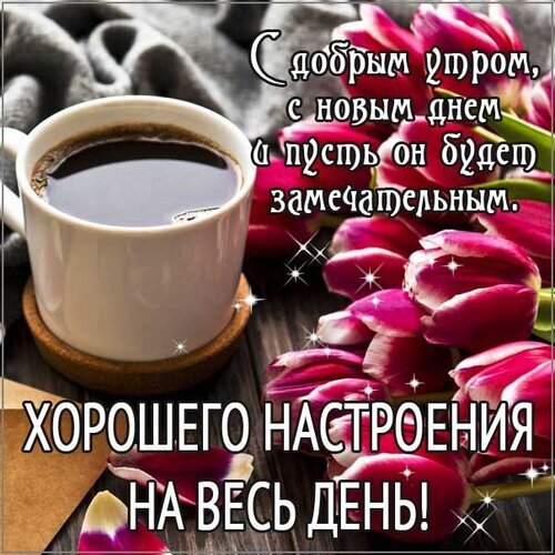 Красивая открытка с пожеланием доброго утра: чашка кофе, розовые тюльпаны и текст «Хорошего настроения на весь день!». Идеально для утреннего приветствия. Открытка С добрым утром, с новым днем и пусть он будет замечательным. Хорошего Настроения НА ВЕСЬ ДЕНЬ! Уютная праздничная открытка с пожеланием доброго утра. На изображении крупным планом представлена чашка горячего кофе в белой кружке, стоящая на деревянной подставке, и букет ярких розовых тюльпанов. Фон дополнен мягкой серой тканью. На картинке нанесен красивый текст на русском языке: «С добрым утром, с новым днем и пусть он будет замечательным Красивая открытка с пожеланием доброго утра: чашка кофе, розовые тюльпаны и текст «Хорошего настроения на весь день!». Идеально для утреннего приветствия. Открытка С добрым утром, с новым днем и пусть он будет замечательным. Хорошего Настроения НА ВЕСЬ ДЕНЬ! Уютная праздничная открытка с пожеланием доброго утра. На изображении крупным планом представлена чашка горячего кофе в белой кружке, стоящая на деревянной подставке, и букет ярких розовых тюльпанов. Фон дополнен мягкой серой тканью. На картинке нанесен красивый текст на русском языке: «С добрым утром, с новым днем и пусть он будет замечательным