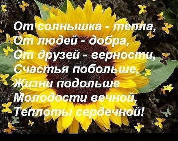 Пожелания добра и счастья на фоне яркого подсолнуха. Красивая открытка с добрыми словами для друзей и близких. Открытка От солнышка тепла от людей добра Красивая открытка с изображением яркого подсолнуха и вдохновляющими пожеланиями на русском языке. На картинке размещен текст: «От солнышка - тепла, от людей - добра, от друзей - верности, счастья побольше, жизни подольше, молодости вечной, теплоты сердечной!». Изображение наполнено солнечным светом и позитивной энергией, идеально подходит для отправки в мессенджерах и социальных сетях в качестве доброго пожелания друзьям, близким и коллегам