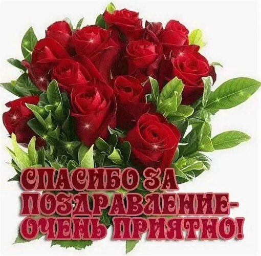 Открытка: букет красных роз с надписью «Спасибо за поздравление — очень приятно!». Красивая картинка для выражения благодарности за поздравления. Открытка Спасибо за поздравление очень приятно Красивая открытка с пышным букетом алых роз. На изображении представлен великолепный композиционный букет из ярко-красных роз с зелеными листьями на светлом фоне. Поверх цветов нанесена надпись на русском языке: СПАСИБО ЗА ПОЗДРАВЛЕНИЕ – ОЧЕНЬ ПРИЯТНО!. Идеально подходит для отправки в мессенджерах и социальных сетях в качестве благодарности за поздравление с днем рождения, юбилеем или другим праздником Открытка: букет красных роз с надписью «Спасибо за поздравление — очень приятно!». Красивая картинка для выражения благодарности за поздравления. Открытка Спасибо за поздравление очень приятно Красивая открытка с пышным букетом алых роз. На изображении представлен великолепный композиционный букет из ярко-красных роз с зелеными листьями на светлом фоне. Поверх цветов нанесена надпись на русском языке: СПАСИБО ЗА ПОЗДРАВЛЕНИЕ – ОЧЕНЬ ПРИЯТНО!. Идеально подходит для отправки в мессенджерах и социальных сетях в качестве благодарности за поздравление с днем рождения, юбилеем или другим праздником