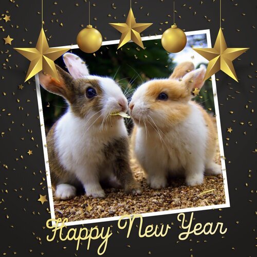 Праздничная открытка «Happy New Year» с двумя милыми пушистыми кроликами, золотыми звездами и новогодним декором. Идеально для новогодних поздравлений! Открытка С Новым годом! Праздничная открытка к Новому году с изображением двух очаровательных милых кроликов. На фото представлены пушистые белые и рыжие зайчата, сидящие рядом на фоне природы. Изображение декорировано золотыми звездами, новогодними шарами и блестками на темном фоне, а внизу расположена стильная надпись «Happy New Year» Праздничная открытка «Happy New Year» с двумя милыми пушистыми кроликами, золотыми звездами и новогодним декором. Идеально для новогодних поздравлений! Открытка С Новым годом! Праздничная открытка к Новому году с изображением двух очаровательных милых кроликов. На фото представлены пушистые белые и рыжие зайчата, сидящие рядом на фоне природы. Изображение декорировано золотыми звездами, новогодними шарами и блестками на темном фоне, а внизу расположена стильная надпись «Happy New Year»