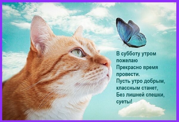 Милая открытка с рыжим котом и бабочкой: пожелание доброго утра в субботу. Красивое изображение для хорошего настроения и приятного выходного дня! Открытка В субботу утром пожелаю Прекрасно время провести. Пусть утро добрым, классным станет, Без лишней спе Красивая поздравительная открытка с изображением милого рыжего кота, смотрящего вверх на голубую бабочку на фоне светлого неба с облаками. На картинке размещен текст на русском языке с добрыми пожеланиями хорошего субботнего утра, отсутствия суеты и приятного времяпрепровождения
