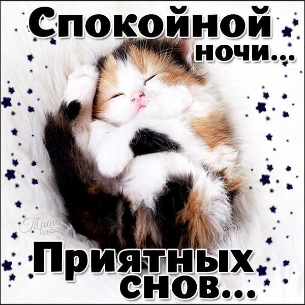 Милый спящий котенок с пожеланием «Спокойной ночи... Приятных снов...». Уютная картинка со звездами для добрых пожеланий близким и друзьям. Открытка Спокойной ночи... Приятных снов... Милое и уютное изображение спящего котенка в стиле «Спокойной ночи». На картинке запечатлен очаровательный трехцветный котенок, сладко спящий на мягком белом пушистом ковре. Текст на русском языке гласит: «Спокойной ночи... Приятных снов...». Изображение украшено декоративными темными звездочками на светлом фоне, что создает атмосферу волшебства, покоя и нежности