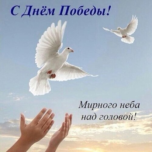 Поздравительная открытка к Дню Победы: летящие белые голуби, поднятые руки и надписи «С Днем Победы!» и «Мирного неба над головой!» на фоне неба. Открытка Днем Победы! Мирного неба над головой! Торжественная поздравительная открытка к Дню Победы. На изображении запечатлены два летящих белых голубя — символов мира и свободы — на фоне светлого неба с мягким закатным освещением. В нижней части кадра видны поднятые вверх руки, выражающие надежду и благодарность. На картинке расположены поздравительные надписи на русском языке: «С Днем Победы!» и «Мирного неба над головой!» Поздравительная открытка к Дню Победы: летящие белые голуби, поднятые руки и надписи «С Днем Победы!» и «Мирного неба над головой!» на фоне неба. Открытка Днем Победы! Мирного неба над головой! Торжественная поздравительная открытка к Дню Победы. На изображении запечатлены два летящих белых голубя — символов мира и свободы — на фоне светлого неба с мягким закатным освещением. В нижней части кадра видны поднятые вверх руки, выражающие надежду и благодарность. На картинке расположены поздравительные надписи на русском языке: «С Днем Победы!» и «Мирного неба над головой!»