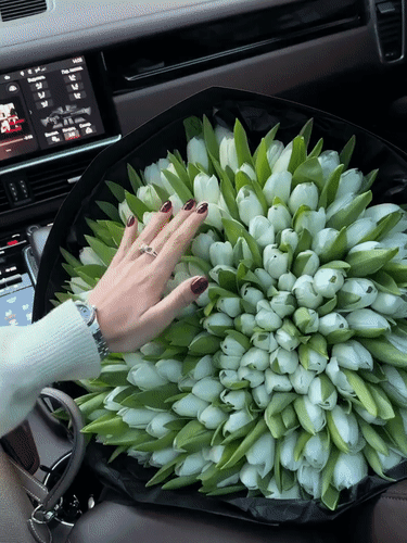 Огромный букет белых тюльпанов в салоне автомобиля. Эстетичное фото с женской рукой, передающее атмосферу романтики, роскоши и праздника. Анимированная открытка Тюльпаны Эстетичный кадр с огромным букетом белоснежных тюльпанов, который лежит на пассажирском сиденье автомобиля. На переднем плане видна женская рука с элегантным маникюром и кольцом, нежно касающаяся лепестков. В расфокусе на заднем плане видна современная приборная панель автомобиля с цифровым дисплеем