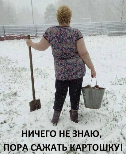 Ироничный мем: женщина с лопатой и ведром стоит в снегу под надписью «Ничего не знаю, пора сажать картошку!» Открытка Пора сажать картошку На фотографии изображена женщина со спины, стоящая на заснеженном поле. Она одета в повседневную одежду и держит в руках лопату и ведро, готовая к работе. В нижней части изображения наложен текст на русском языке: «Ничего не знаю, пора сажать картошку!» Ироничный мем: женщина с лопатой и ведром стоит в снегу под надписью «Ничего не знаю, пора сажать картошку!» Открытка Пора сажать картошку На фотографии изображена женщина со спины, стоящая на заснеженном поле. Она одета в повседневную одежду и держит в руках лопату и ведро, готовая к работе. В нижней части изображения наложен текст на русском языке: «Ничего не знаю, пора сажать картошку!»