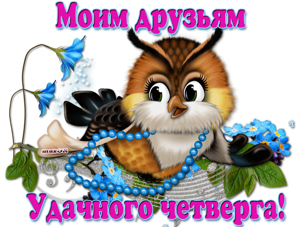 Милая открытка с совой и цветами для друзей. Пожелание «Удачного четверга!» в ярком мультяшном стиле для соцсетей и мессенджеров. Анимированная открытка Моим друзьям. Удачного четверга! Милая и яркая поздравительная открытка с изображением очаровательной совы с большими глазами. Сова украшена голубым ожерельем и окружена нежными голубыми цветами. На картинке размещен праздничный текст на русском языке: «Моим друзьям» сверху и «Удачного четверга!» снизу