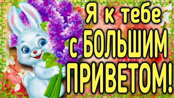 Милая открытка с белым кроликом и букетом сирени. Надпись: Я к тебе с БОЛЬШИМ ПРИВЕТОМ!. Яркое и доброе приветствие для друзей и близких. Открытка Я к тебе с большим приветом! Красочная поздравительная открытка с милым белым кроликом, который держит пышный букет фиолетовой сирени. На картинке крупным желтым шрифтом с черным контуром написана добрая фраза на русском языке: Я к тебе с БОЛЬШИМ ПРИВЕТОМ!. Фон украшен нежными цветочными узорами и зеленью, создавая праздничное и теплое настроение Милая открытка с белым кроликом и букетом сирени. Надпись: Я к тебе с БОЛЬШИМ ПРИВЕТОМ!. Яркое и доброе приветствие для друзей и близких. Открытка Я к тебе с большим приветом! Красочная поздравительная открытка с милым белым кроликом, который держит пышный букет фиолетовой сирени. На картинке крупным желтым шрифтом с черным контуром написана добрая фраза на русском языке: Я к тебе с БОЛЬШИМ ПРИВЕТОМ!. Фон украшен нежными цветочными узорами и зеленью, создавая праздничное и теплое настроение