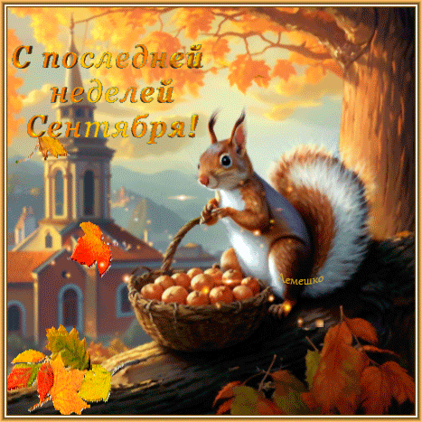 Осенняя открытка «С последней неделей сентября!» с милой белкой, корзинкой орехов и золотой листвой. Теплое поздравление для соцсетей и мессенджеров. Анимированная открытка С последней неделей сентября! Красочная осенняя открытка с милой белкой, сидящей на ветке дерева. Белка держит корзинку, наполненную орехами, на фоне золотистой осенней листвы и уютного городского пейзажа с домиками. На изображении золотыми буквами написан поздравительный текст на русском языке: 