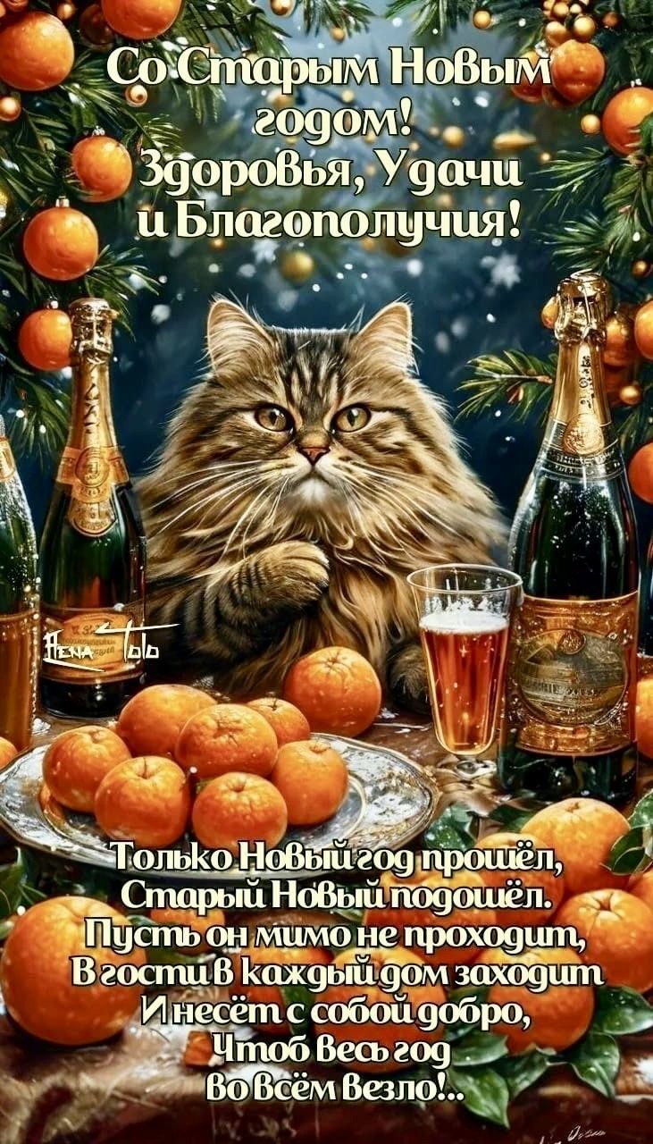 Открытка на Старый Новый год. Котик за праздничным столом, шампанское, мандарины. Пожелания.