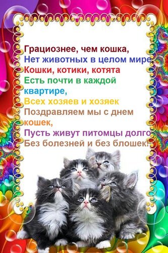 Красивая поздравительная открытка к Дню кошек с милыми котятами и добрым стихотворением для всех любителей домашних животных. Открытка Грациознее, чем кошка, Нет животных в целом мире, Кошки, котики, котята Есть почти в каждой квартире Праздничная открытка к Международному дню кошек. На изображении группа очаровательных пушистых котят на фоне яркого разноцветного фона с пузырьками. Поверх картинки нанесен трогательный стих на русском языке, поздравляющий владельцев домашних животных