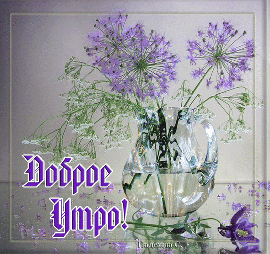 Красивая открытка «Доброе утро!» с нежными фиолетовыми цветами в стеклянной вазе. Идеальное пожелание доброго утра для соцсетей и мессенджеров. Анимированная открытка Доброе утро! Красивая поздравительная открытка с нежными фиолетовыми цветами в прозрачной стеклянной вазе. На изображении изображены аллиумы (декоративный лук) и мелкие белые цветы, создающие атмосферу свежести и весеннего утра. На переднем плане крупная стильная надпись на русском языке «Доброе Утро!», выполненная в декоративном шрифте Красивая открытка «Доброе утро!» с нежными фиолетовыми цветами в стеклянной вазе. Идеальное пожелание доброго утра для соцсетей и мессенджеров. Анимированная открытка Доброе утро! Красивая поздравительная открытка с нежными фиолетовыми цветами в прозрачной стеклянной вазе. На изображении изображены аллиумы (декоративный лук) и мелкие белые цветы, создающие атмосферу свежести и весеннего утра. На переднем плане крупная стильная надпись на русском языке «Доброе Утро!», выполненная в декоративном шрифте