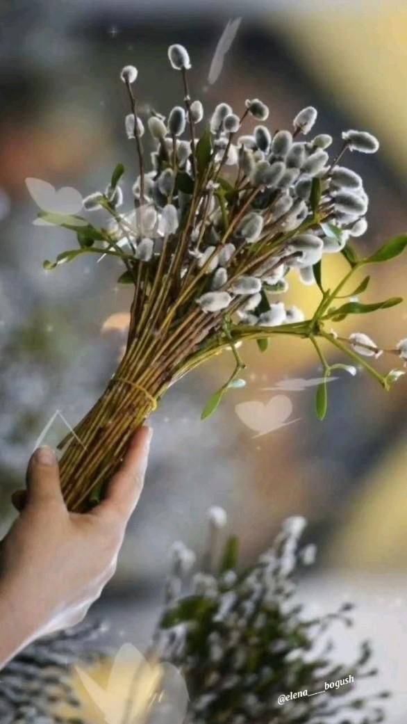 Пожелания на каждый день. Рука с цветами. a person holding a bunch of flowers in their hand