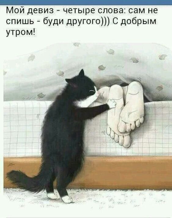 Смешной мем с котом: «Сам не спишь — буди другого!». Милая картинка с пожеланием доброго утра для настроения. Открытка Мой девиз - четыре слова: сам не спишь - буди другого))) С добрым утром! Забавный и милый мем с черно-белым котом, который пытается разбудить человека, обнимая его ноги. На картинке нанесен текст с юмористическим девизом: «Мой девиз — четыре слова: сам не спишь — буди другого))) С добрым утром!» Смешной мем с котом: «Сам не спишь — буди другого!». Милая картинка с пожеланием доброго утра для настроения. Открытка Мой девиз - четыре слова: сам не спишь - буди другого))) С добрым утром! Забавный и милый мем с черно-белым котом, который пытается разбудить человека, обнимая его ноги. На картинке нанесен текст с юмористическим девизом: «Мой девиз — четыре слова: сам не спишь — буди другого))) С добрым утром!»