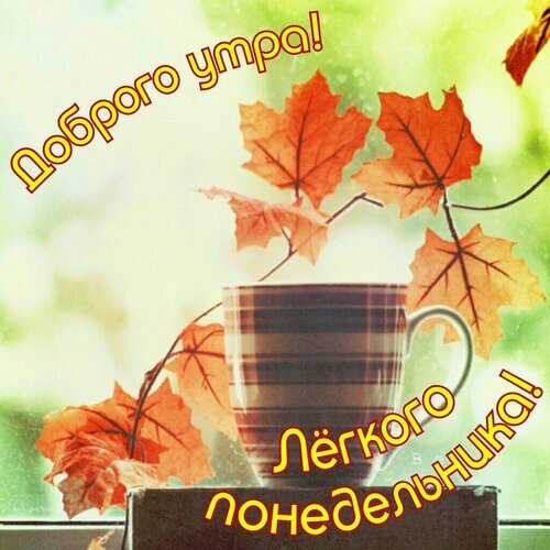 Осенняя открытка «Доброго утра! Легкого понедельника!» с чашкой чая и кленовыми листьями. Идеально для доброго пожелания в начале недели. Открытка Доброго утра! Легкого Понедельника! Уютная осенняя открытка с чашкой теплого чая и яркими оранжевыми кленовыми листьями на фоне окна. На изображении размещен поздравительный текст на русском языке: «Доброго утра! Легкого понедельника!» Осенняя открытка «Доброго утра! Легкого понедельника!» с чашкой чая и кленовыми листьями. Идеально для доброго пожелания в начале недели. Открытка Доброго утра! Легкого Понедельника! Уютная осенняя открытка с чашкой теплого чая и яркими оранжевыми кленовыми листьями на фоне окна. На изображении размещен поздравительный текст на русском языке: «Доброго утра! Легкого понедельника!»