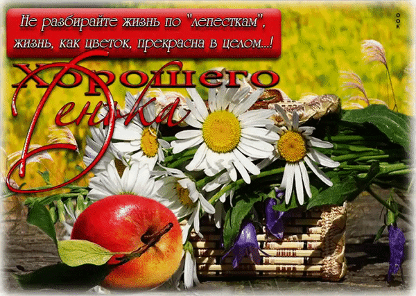 Поздравительная открытка с ромашками, яблоком и добрым пожеланием «Хорошего денька» и мотивирующей цитатой о красоте жизни. Идеально для соцсетей. Анимированная открытка Хорошего денька Красивая поздравительная открытка с изображением букета белых ромашек, спелого красного яблока и корзинки на деревянном фоне. На картинке размещен вдохновляющий текст на русском языке: «Не разбирайте жизнь по лепесткам, жизнь, как цветок, прекрасна в целом...!» и пожелание «Хорошего денька» Поздравительная открытка с ромашками, яблоком и добрым пожеланием «Хорошего денька» и мотивирующей цитатой о красоте жизни. Идеально для соцсетей. Анимированная открытка Хорошего денька Красивая поздравительная открытка с изображением букета белых ромашек, спелого красного яблока и корзинки на деревянном фоне. На картинке размещен вдохновляющий текст на русском языке: «Не разбирайте жизнь по лепесткам, жизнь, как цветок, прекрасна в целом...!» и пожелание «Хорошего денька»
