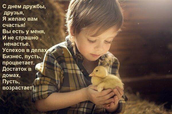Поздравительная открытка к Дню дружбы: мальчик с утенком и душевные пожелания счастья, процветания и достатка друзьям. Трогательный образ и теплые слова. Открытка С днем дружбы, друзья, Я желаю вам счастья! Вы есть у меня, И не страшно ненастье. Успехов в делах, Красивая поздравительная открытка к Дню дружбы с трогательным изображением маленького мальчика, который нежно держит в руках пушистого желтого утенка. На картинке размещен душевный текст на русском языке, пожелание счастья, успехов в делах, процветания бизнеса и достатка в домах