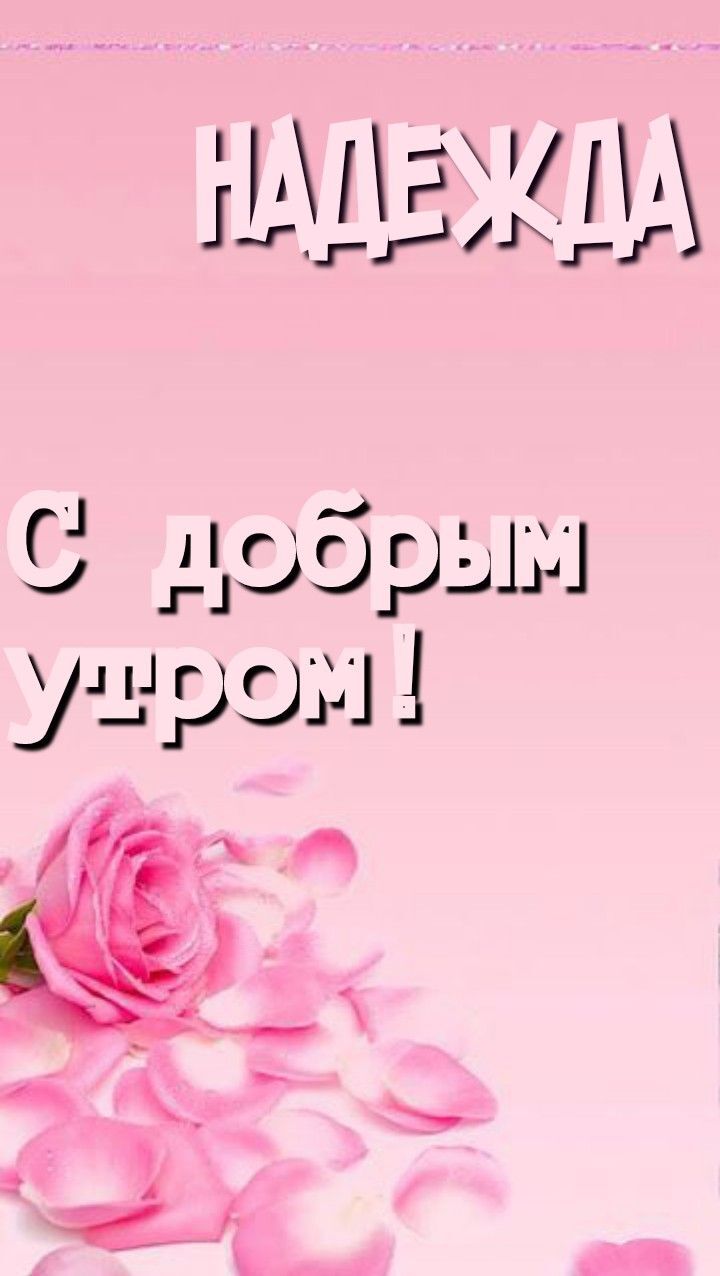 Открытка с добрым утром для Надежды. Цветы. there is a pink rose and some petals on the table next to an empty bottle Открытка с добрым утром для Надежды. Цветы. there is a pink rose and some petals on the table next to an empty bottle