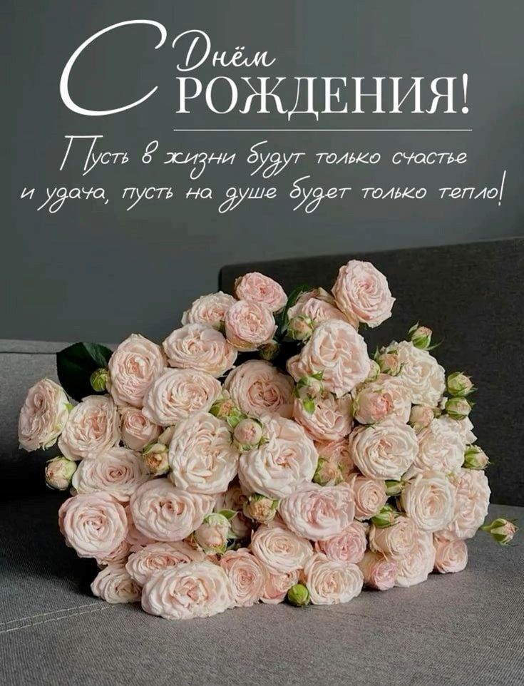 Открытка с днем рождения женщине. С Днем рождения! Пусть в жизни будут только счастье и удача, пусть на душе будет только тепло! Красивая открытка с цветами на День рождения a bouquet of pink roses sitting on top of a couch