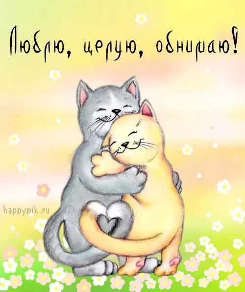 Открытка с Днем рождения с котиками. a couple of cats hugging each other on top of a green and yellow field with flowers
