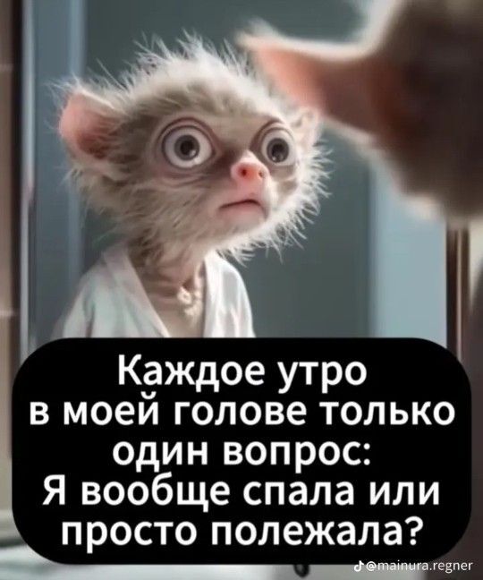 Открытка с добрым утром. Забавная картинка со зверушкой и зеркалом. Спала или просто полежала? Открытка с добрым утром. Забавная картинка со зверушкой и зеркалом. Спала или просто полежала?