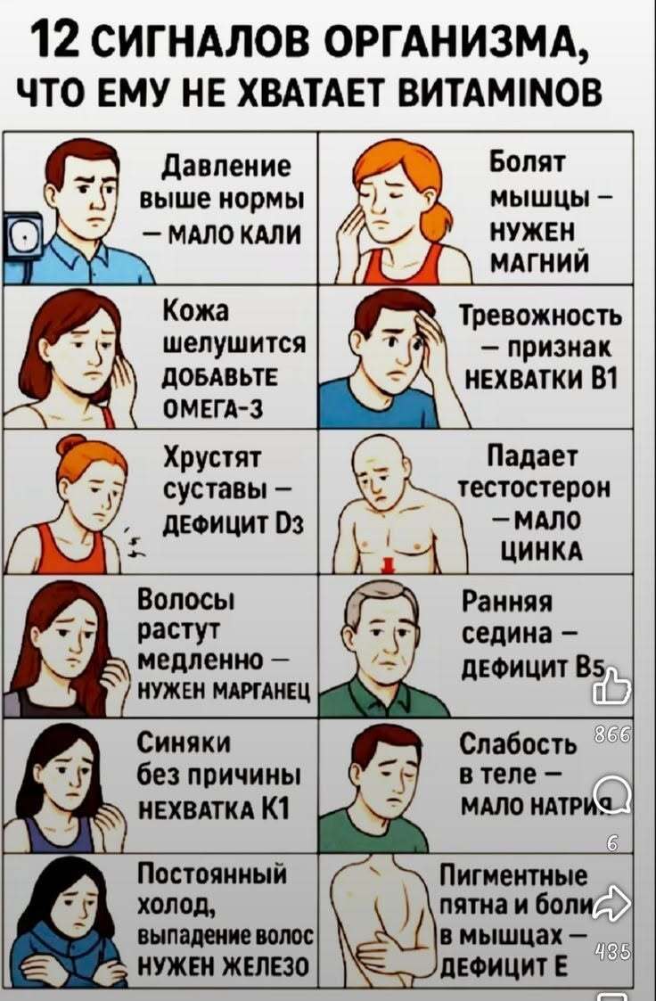 Пожелания на каждый день. 12 сигналов организма, что ему не хватает витаминов.