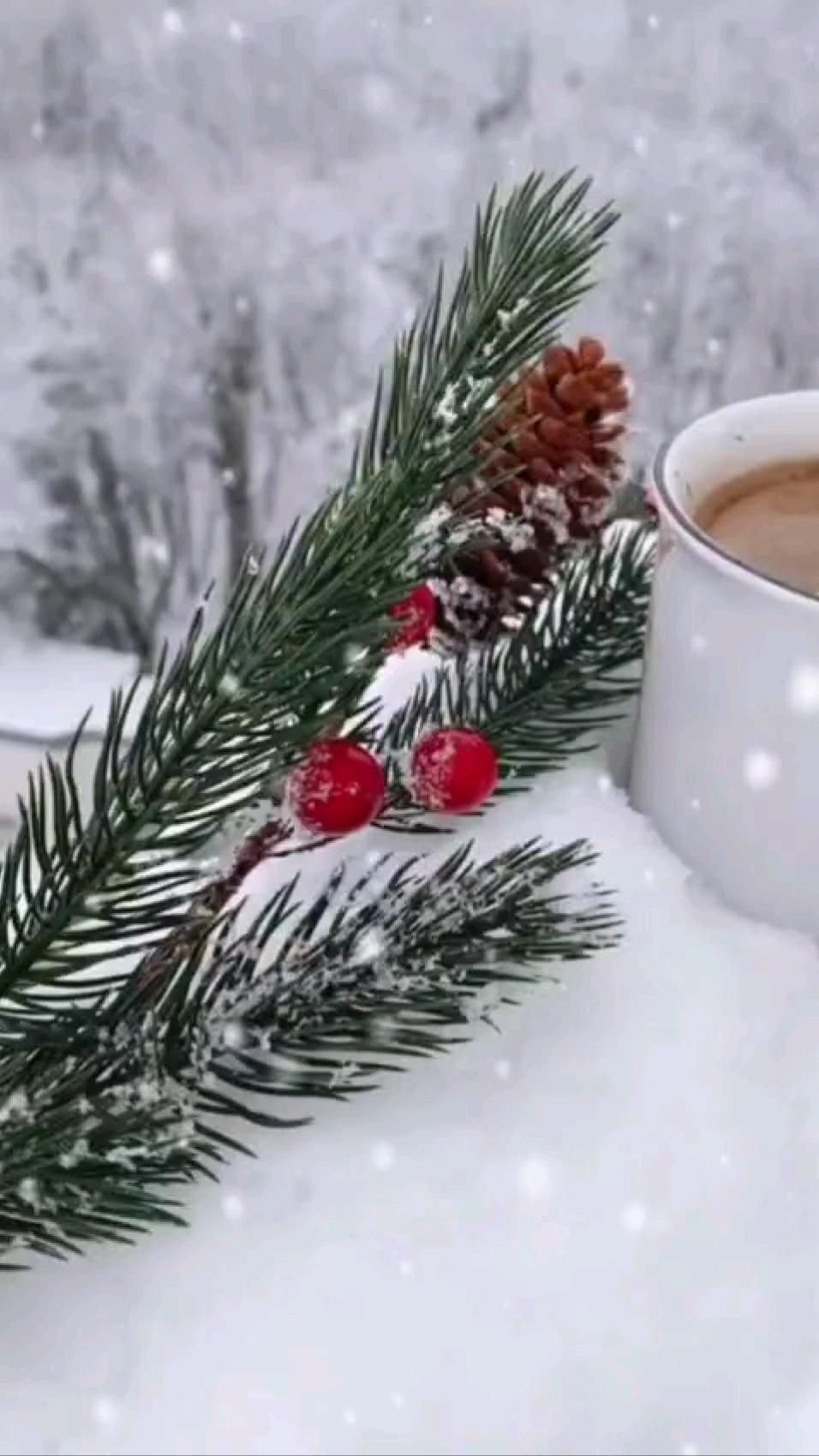 Открытка на Зиму. Доброе утро a cup of coffee sitting on top of a snow covered table next to a pine branch