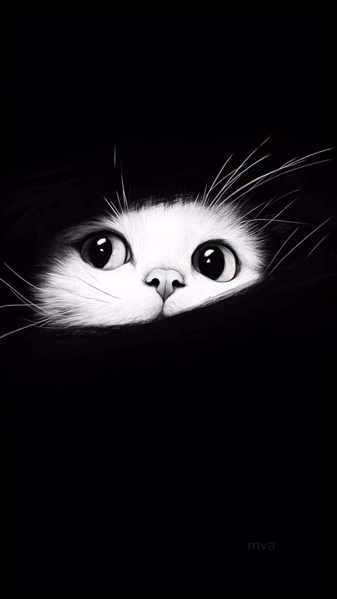 Открытка про кошек, котиков. Котик выглядывает на черном фоне.