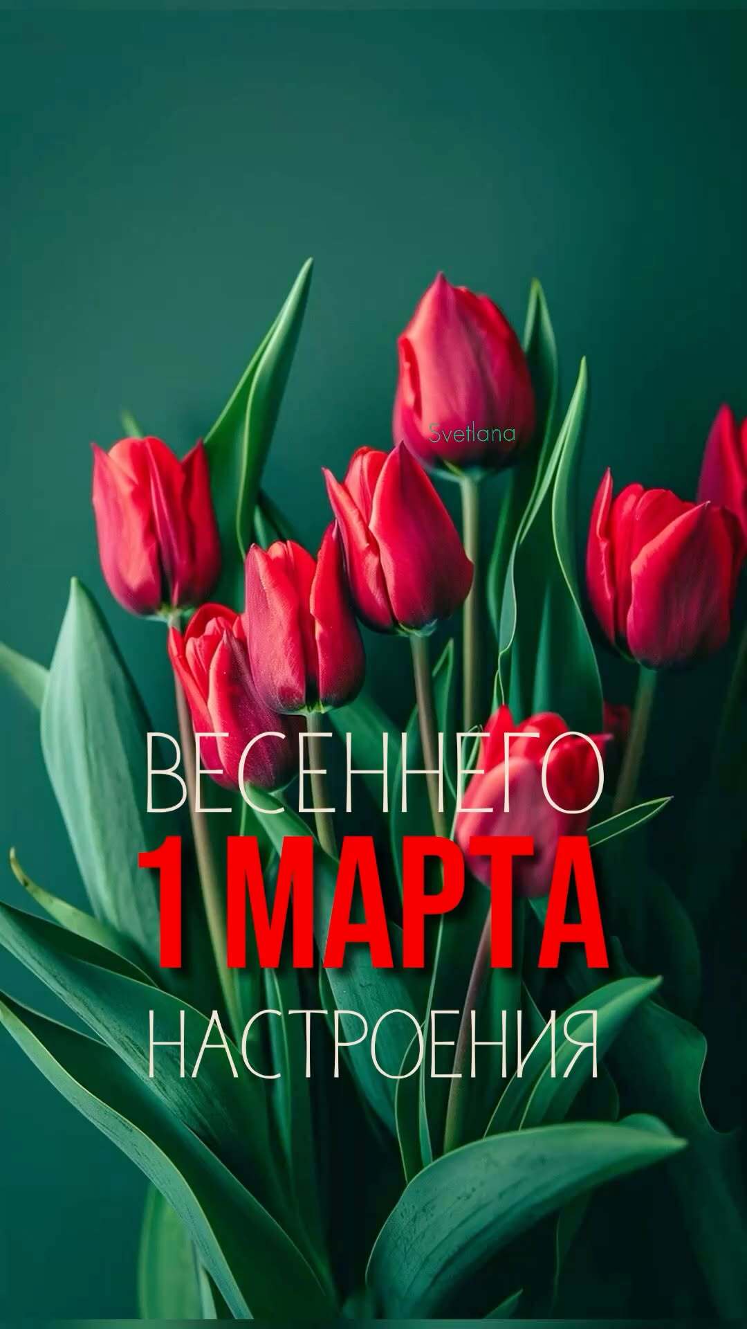 Открытка на первый день весны. Красные тюльпаны. Весеннего настроения. 1 марта.