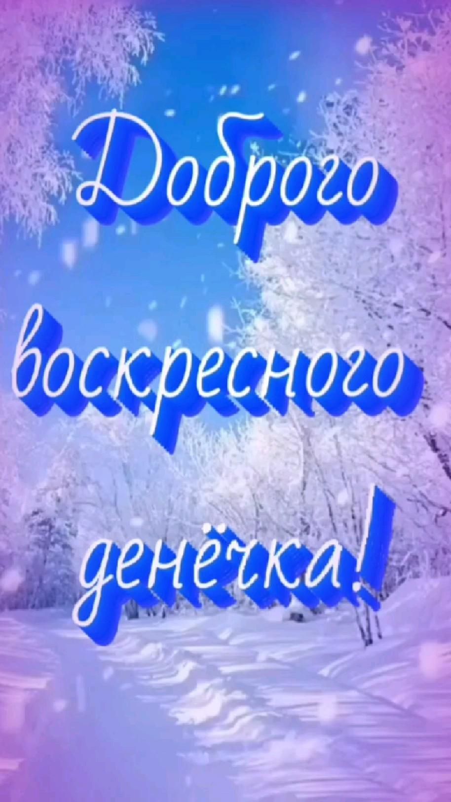 Открытка на воскресенье. Доброго дня the words are written in russian on a snowy background with trees and snowflakes
